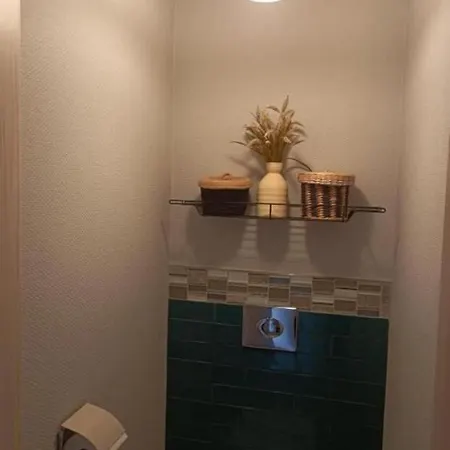 Apartman Gite Bethanie A Steige *
